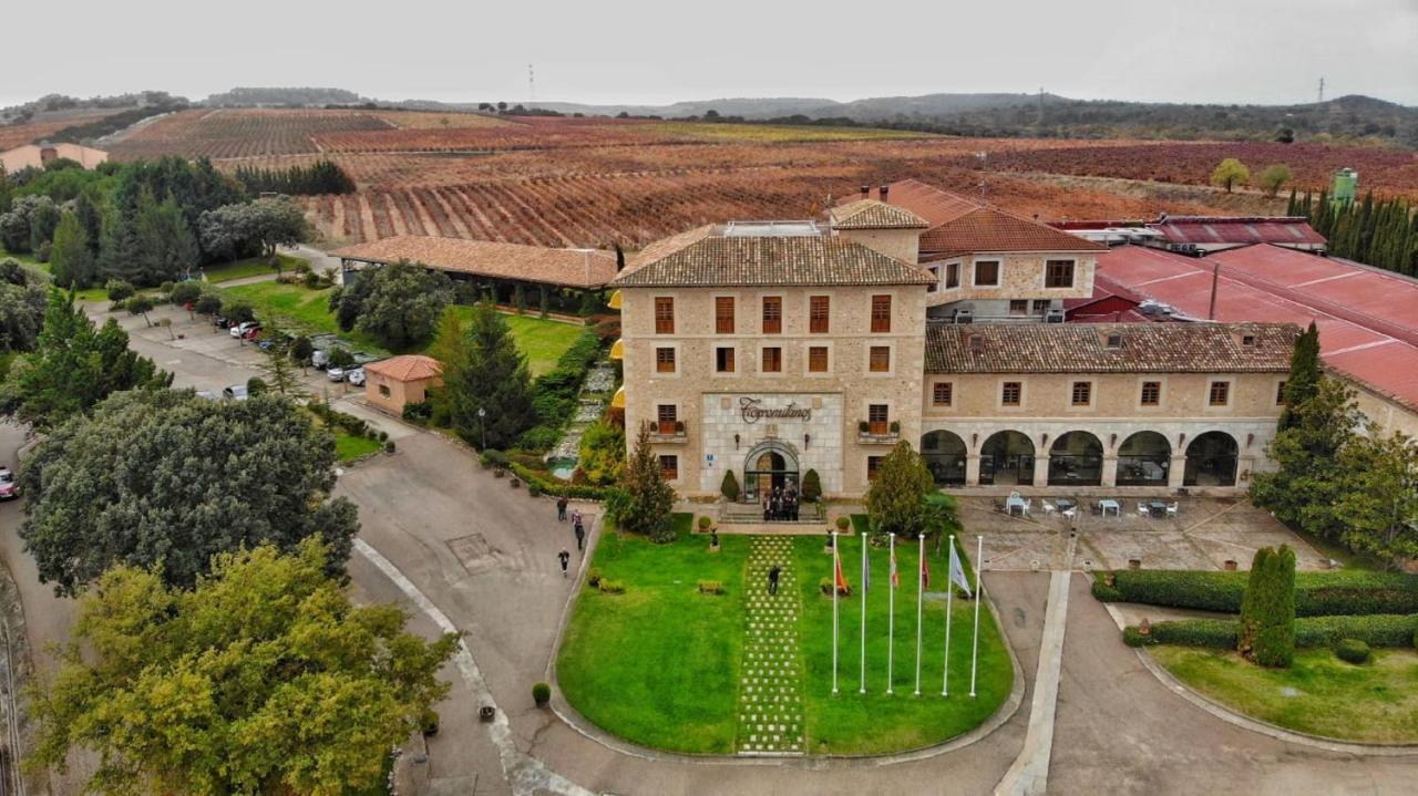 Hotel Torremilanos Aranda de Duero Extérieur photo