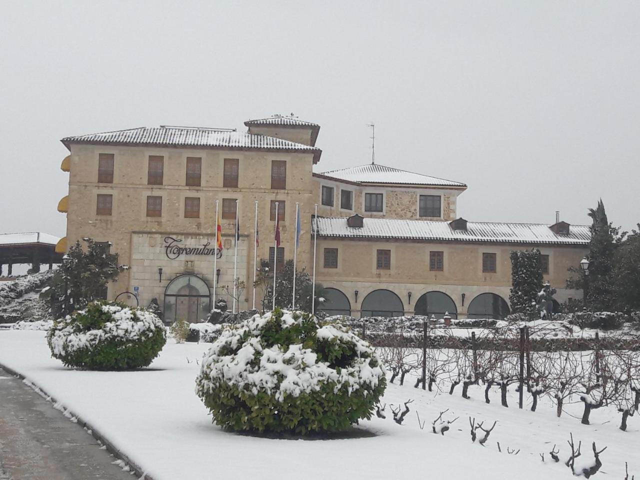 Hotel Torremilanos Aranda de Duero Extérieur photo