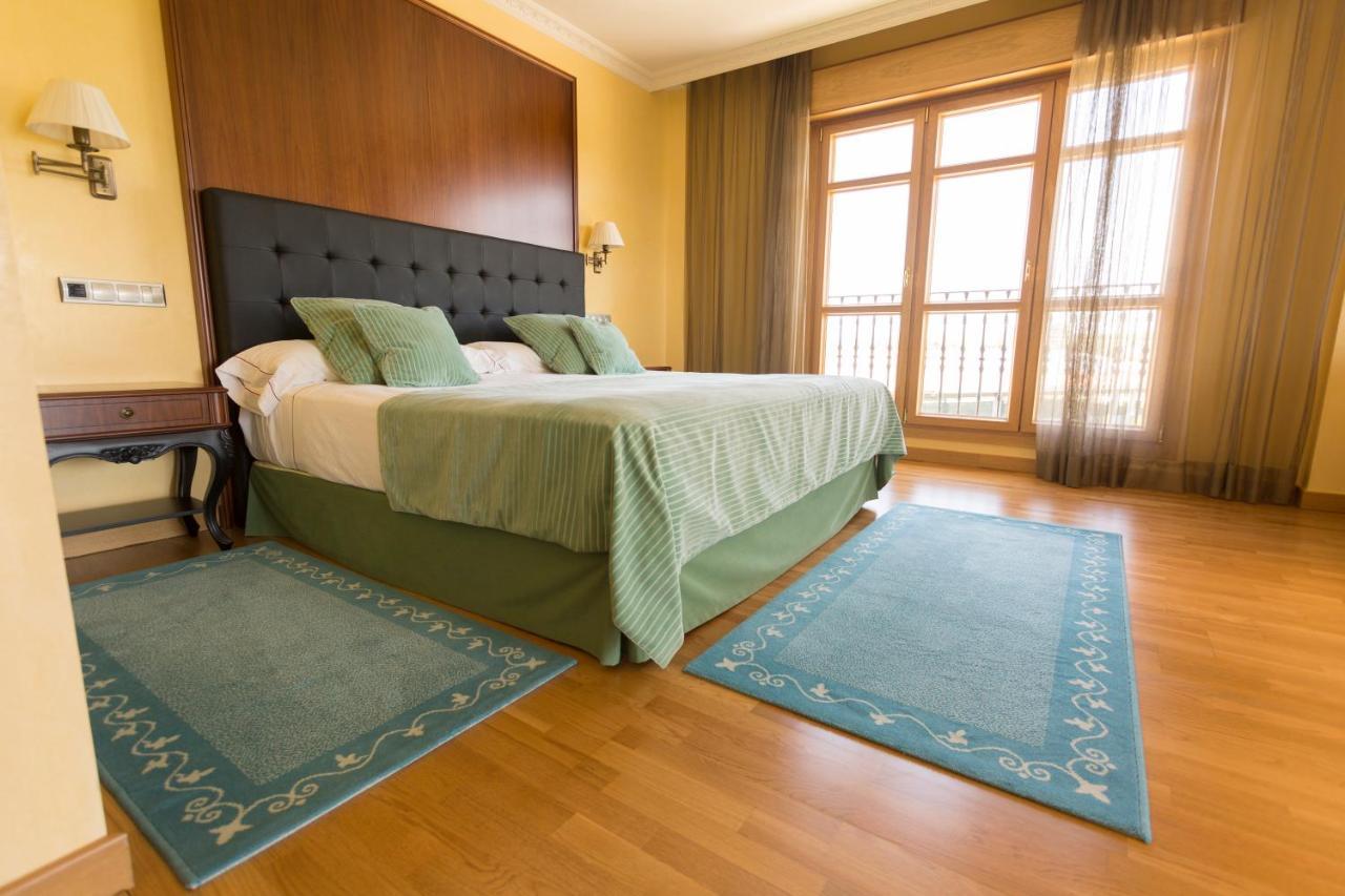 Hotel Torremilanos Aranda de Duero Extérieur photo
