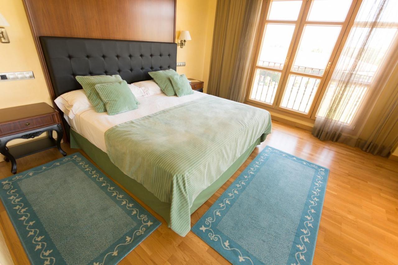 Hotel Torremilanos Aranda de Duero Extérieur photo