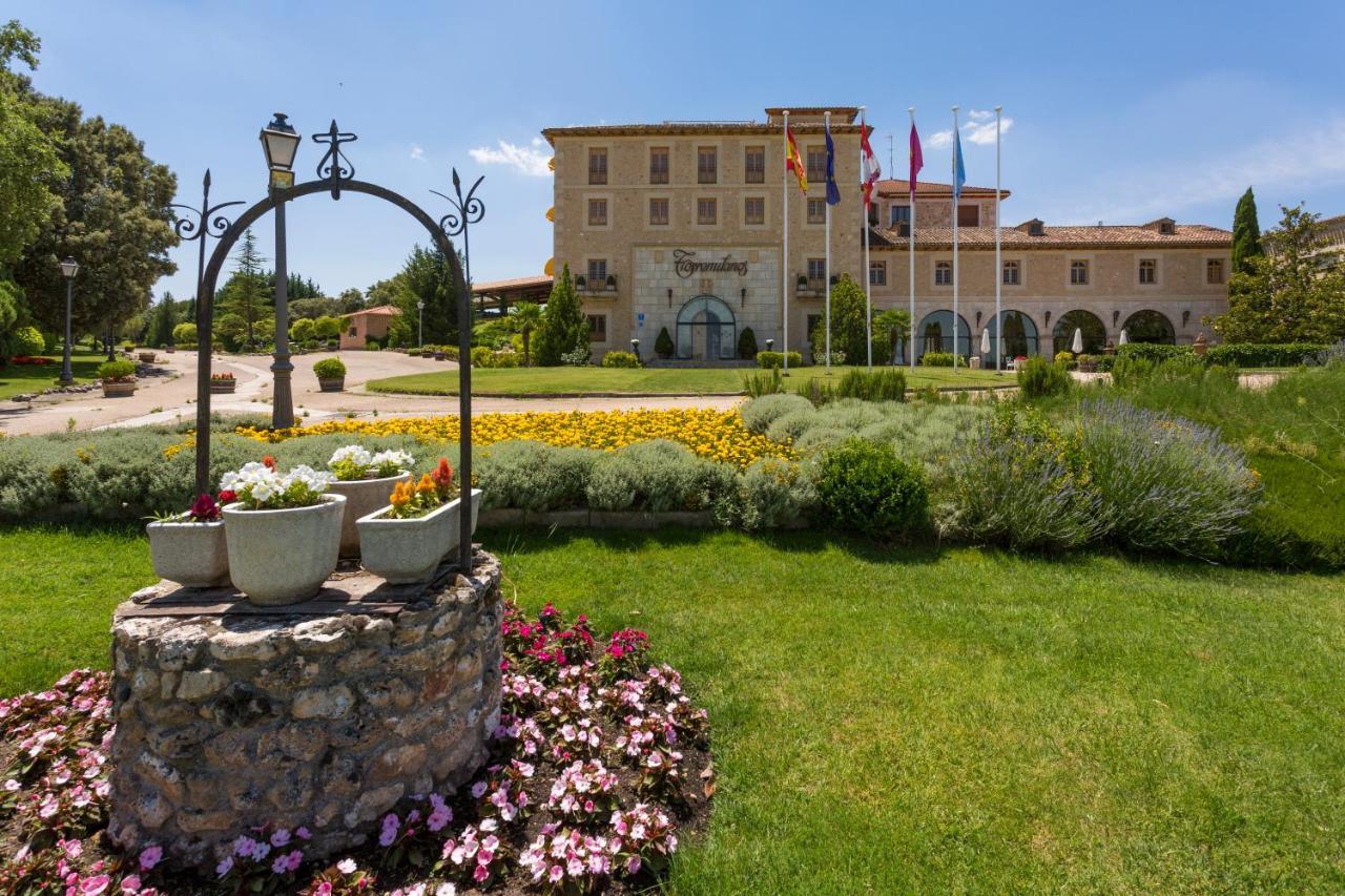 Hotel Torremilanos Aranda de Duero Extérieur photo
