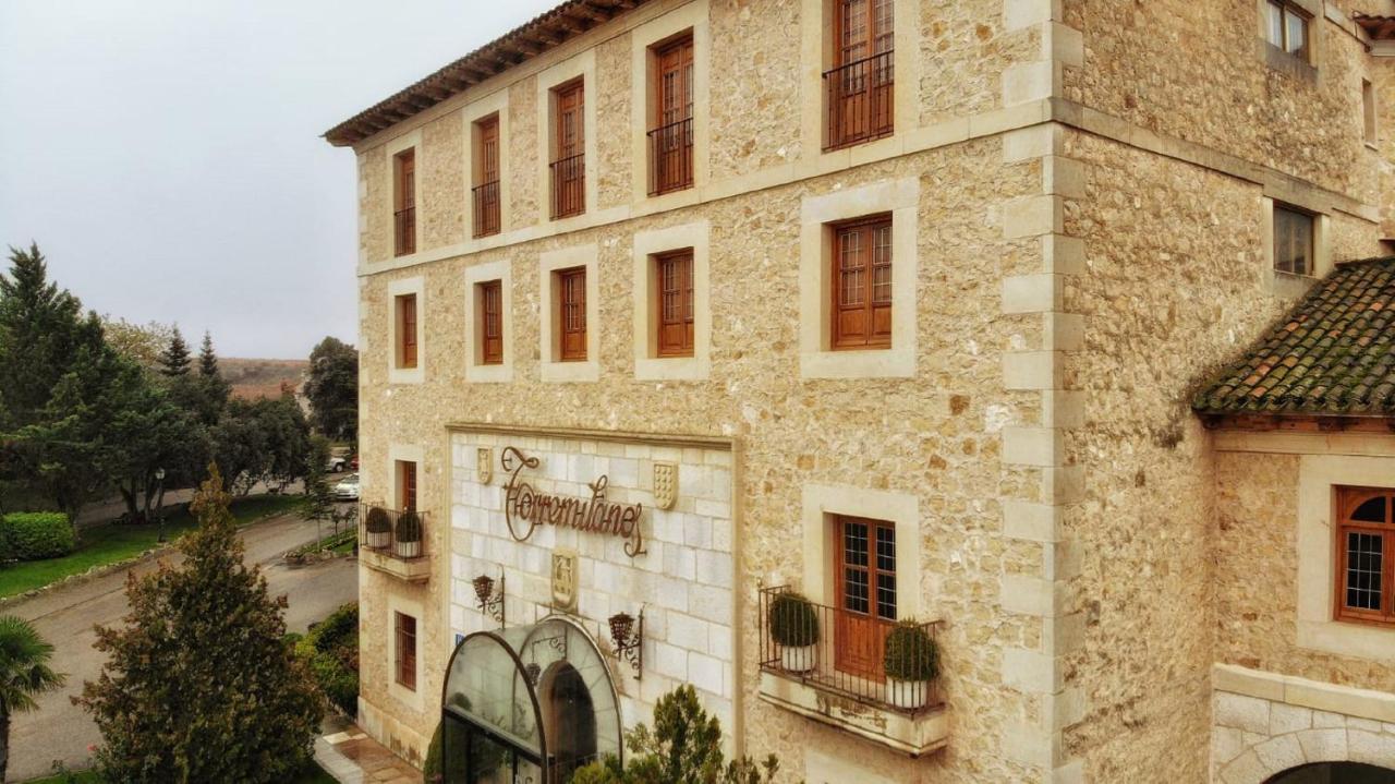 Hotel Torremilanos Aranda de Duero Extérieur photo