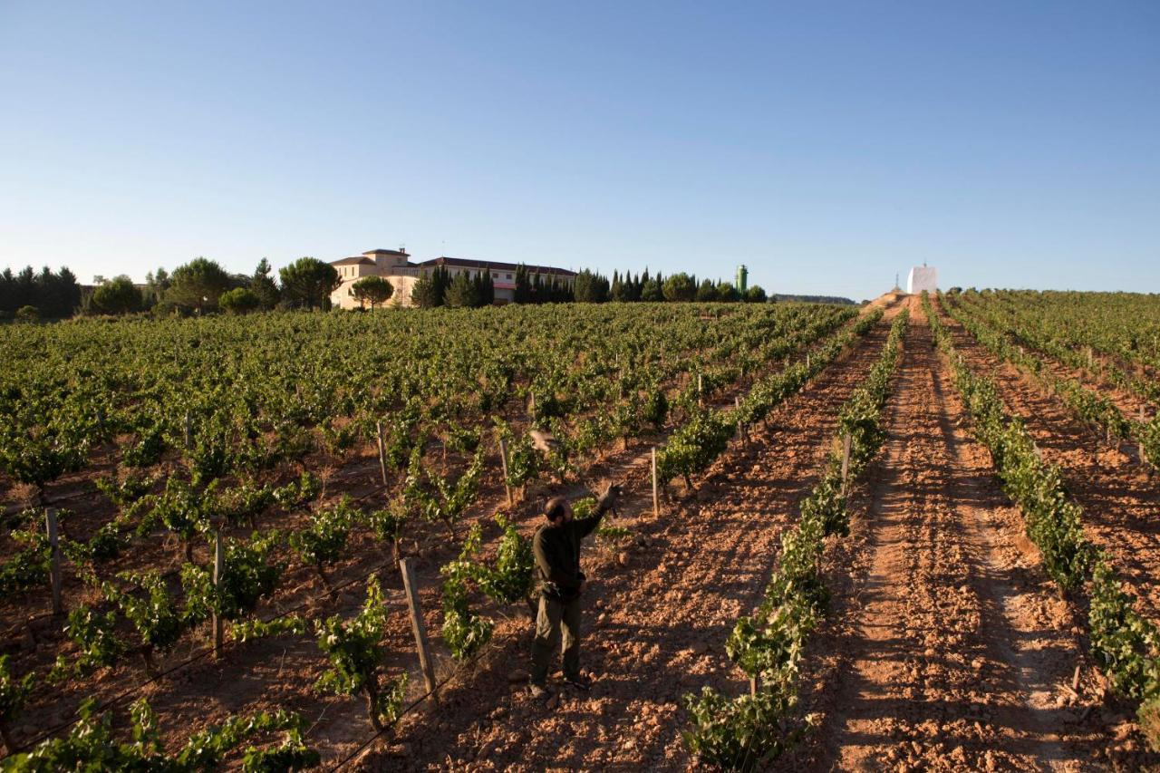 Hotel Torremilanos Aranda de Duero Extérieur photo