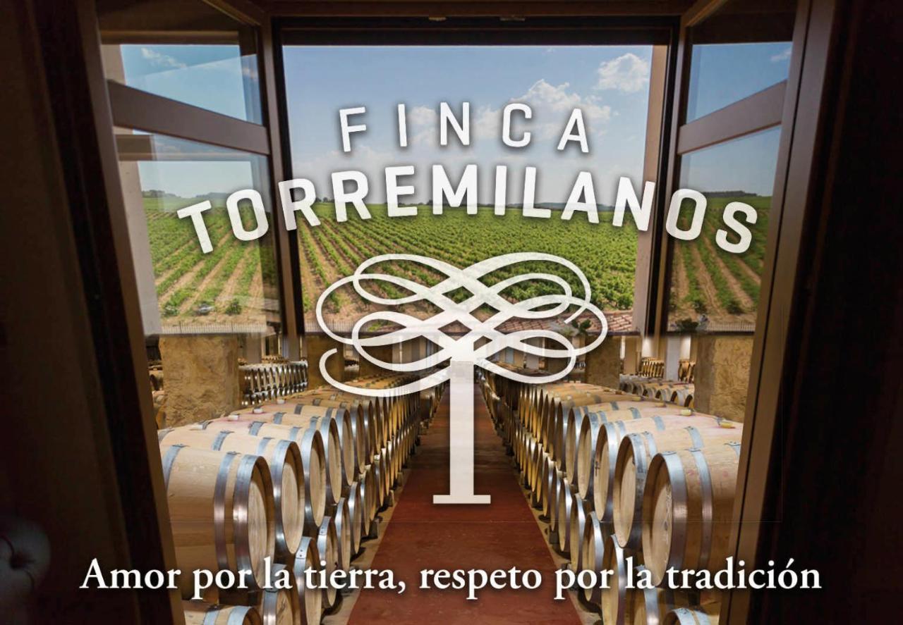 Hotel Torremilanos Aranda de Duero Extérieur photo